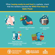 When storing and preparing food, separate raw meat, poultry, seafood, and eggs from other foods, especially foods that won't be cooked like salad vegetables. World Health Organization Who Unsafe Food Can Cause Over 2 0 0 Diseases Do You Know The Five To Safe Food Keep Clean Separate Raw And Cooked Food Cook Thoroughly