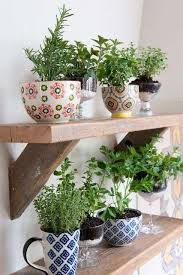 Calidad semillas batlle siempre al mejor precio. Las Mejores Plantas Aromaticas Para Tu Hogar O Jardin 2019