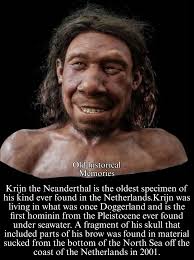 Krijn the Neanderthal is the oldest specimen of his kind ever found in the  Netherlands. Krijn was living in what was once Doggerland and is the first  hominin from the Pleistocene ever