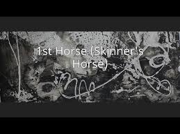 1st Horse (Skinner's Horse) - YouTube