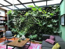 ¿sabes cómo funcionan los jardines verticales? Cuidados Para Jardines Verticales Interiores Generacion Verde
