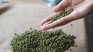 Kacang almond memiliki sterol, serat dan lemak yang baik untuk jantung. 7 Khasiat Kacang Hijau Dari Obat Jantung Hingga Masker Rambut Biem Co