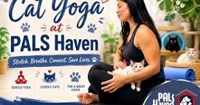 Cat Yoga at PALS Haven