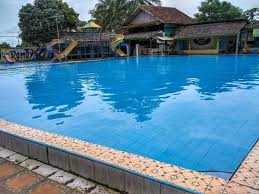 Stew leonard christmas tree : Berenang Di Mata Air Cikoromoy Pandeglang Segar