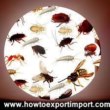 Phytosanitary certificate (for international plant shipments to canada only). How To Obtain Phyto Sanitary Certificate What Is Phytosanitary Certification