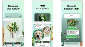 The goal of this plant identification app is to provide a digital interface between people and nature. The 4 Best Plant Care Apps Review Geek