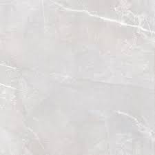 Bodenbeläge & fliesen online vergleichen und bestellen bei shöpping.at ᐅ finden sie den günstigsten preis für bodenbeläge & fliesen in österreich! Boden Und Wandfliesen Light Grey Glanzend Giorgio 60 X 60 Cm Feinsteinzeug Interio Deinetur De