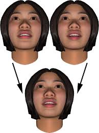 Reduction of Animated Models for Embedded Devices