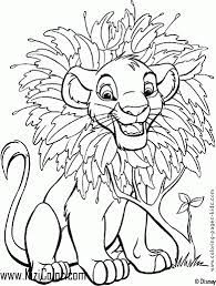 Kion is the son of simba and the younger brother of kiara and his friends bunga a honey badger fuli a cheetah besthe a hippo and ono an egret. Free Coloring Pages For Kids Lion King Drawing With Crayons