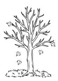 12 Disegni Di Alberi Autunnali Da Colorare Pianetabambini It Tree Coloring Page Fall Coloring Pages Fall Coloring Sheets