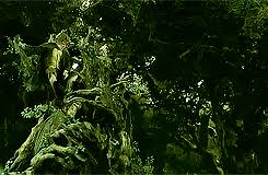 Image result for tbn:Z_XyLVGl0ZUU6M::www.palvoice.com/forums/imgcache08/1349.gif