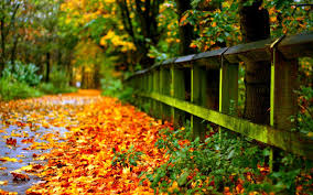 Top nature wallpapers, wallpapers natural beauty, fantastic nature backgrounds, world most beautiful wallpaper nature, natural views wallpapers, best world nature wallpaper, nature. Nature Laptop Wallpapers Wallpaper Cave