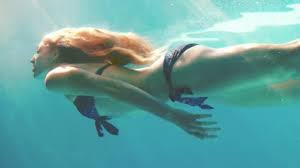 We did not find results for: 7 053 Woman Swimming Underwater Stock Videos Royalty Free Woman Swimming Underwater Footage Depositphotos