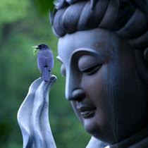 mechwick's collection