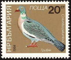 Common Wood Pigeon Columba Palumbus Wood Pigeon Stamp Postage Stamps