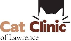 Find an affordable veterinarian near you now. Cat Clinic Of Lawrence Veterinarian Jennifer O Driscoll Kansas Cat Vet