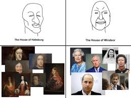 The House of Habsburg the House of Windsor | House Meme on ...