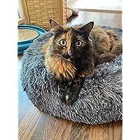 Little Farm in the Ozarks by Roger Lea MacBride