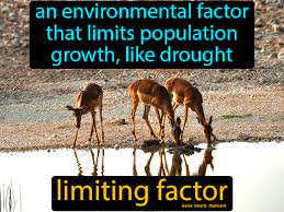 Limiting Factor Science Flashcards Science Facts Science Memes