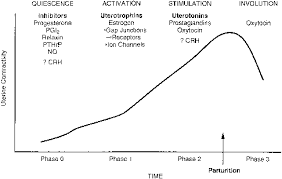 Levels During Pregnancy Online Charts Collection