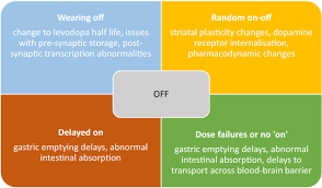 Therapeutic Strategies To Treat Or Prevent Off Episodes In Adults With Parkinson S Disease Springerlink