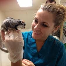 Amber Lingard's Instagram, Twitter & Facebook