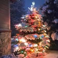 Simply stake the outdoor solar christmas light decoration in your lawn, at a gravesite, or in a flower pot next to your porch where its solar panel can charge in direct sunlight. Pin On Swags And Wreaths