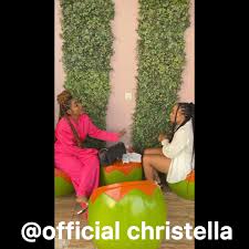 Image result for Christella chaseana