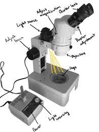 Use the condenser diaphragm to reduce the amount of light and increase the contrast of the image. 9 1 Using Microscopes Biology Libretexts