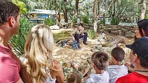 Invite our mobile farm or petting zoo for a real hand on experience. The Best Petting Zoos For Kids Birthday Parties Ellaslist