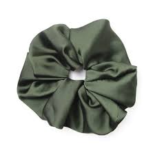 Image result for Sericostachys