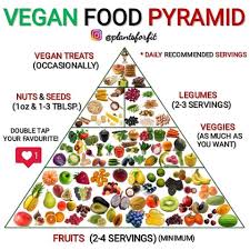 This vegan food pyramid is based on suggestions from the american dietetic association. Facebook