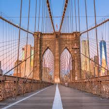 Color harmony may be achieved using complementary or analogous colors. 7 Main Principles Of Design Photography