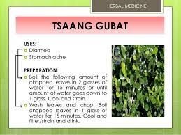 Related Image Herbal Medicine Herbalism Medicine