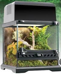 Pin By Jace Elliott On Paludario Reptile Terrarium Reptile Habitat Glass Terrarium