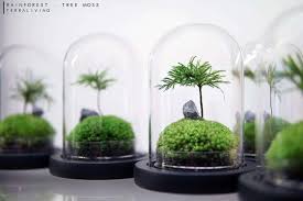 We did not find results for: Terraliving