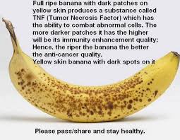 It just looks plain rotten. B Is For Bananas Lauri Rottmayer