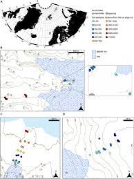 Frontiers | A Taxon-Wise Insight Into Rock Weathering and Nitrogen Fixation  Functional Profiles of Proglacial Systems