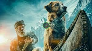 Mai világban mindenki szeret kikapcsolódni, a filminvazio.cc pedig egy tökéletes megoldás erre, hiszen itt megtalálhatóak a legjobb teljes filmek ingyenesen és magyarul! Videa Hd A Vadon Hivo Szava 2020 Teljes Film Indavideo Magyarul Flixster Filmek Hd Call Of The Wild The Call Of The Wild Movies Online
