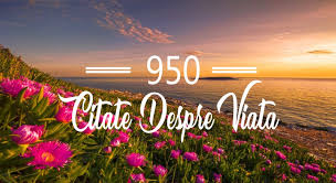 Check spelling or type a new query. 950 Citate Despre Viata Care Sa Te Inspire In Fiecare Zi