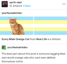 Uzivatel Danee Goddess Of Dinosaurs Na Twitteru Pls Show Me Ur Wonderful Orange Himbos Twitter