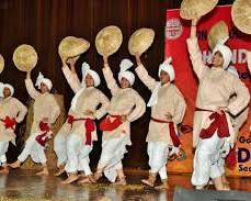 Image of Panjab University Youth Festival