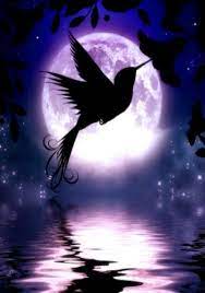 When autocomplete results are available use up and down arrows to review and enter to select. Julie Fain Buenas Noches Ojos Y Caras