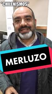 #gabrielboric #boric #merluzo