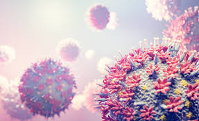 SARS-CoV-2 spike pseudovirion infection in ARPE-19 cells is a  dynamin-dependent process that is primarily mediated by LDLR