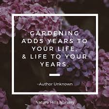 Best life quotes in hindi. 140 Gardening Quotes Ideas Quotes Garden Quotes Garden Signs