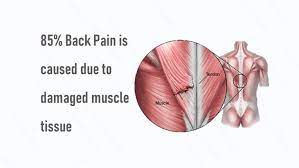 The muscles of the chest and upper back occupy the thoracic region of the body inferior to the neck and superior to the abdominal region and include the muscles of the shoulders. Upper Back Pain Treatment Upper Back Pain Causes Symptoms Qi Spine