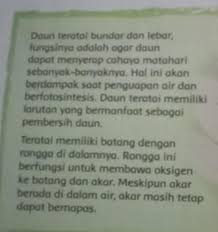 Fungsi daun secara umum fungsi daun sebagai berikut. 2iysz Byvuuf M