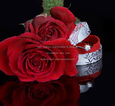 A huge bouquet of beautiful roses as a gift for a beautiful girl. Red Roses Lovely Romantic Beautiful Flowers Love U Wallpaper Flower 2580x2378 Wallpaper Teahub Io