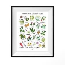 Herb Spice Alphabet Chart Art Print